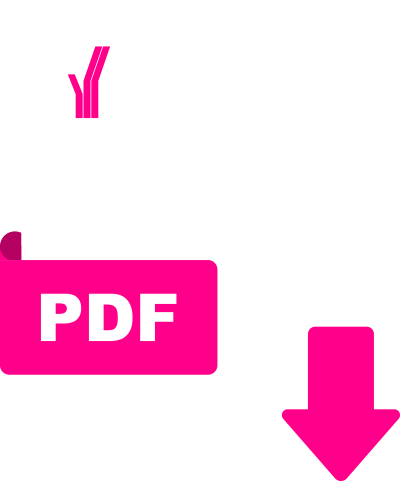 Datei als PDF herunterladen